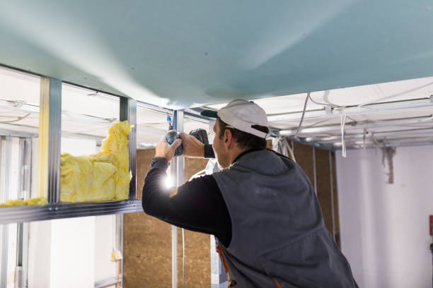 Best Types of Insulation in Maurice, LA