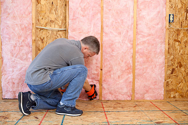 Best Insulation for Specific Applications in Maurice, LA